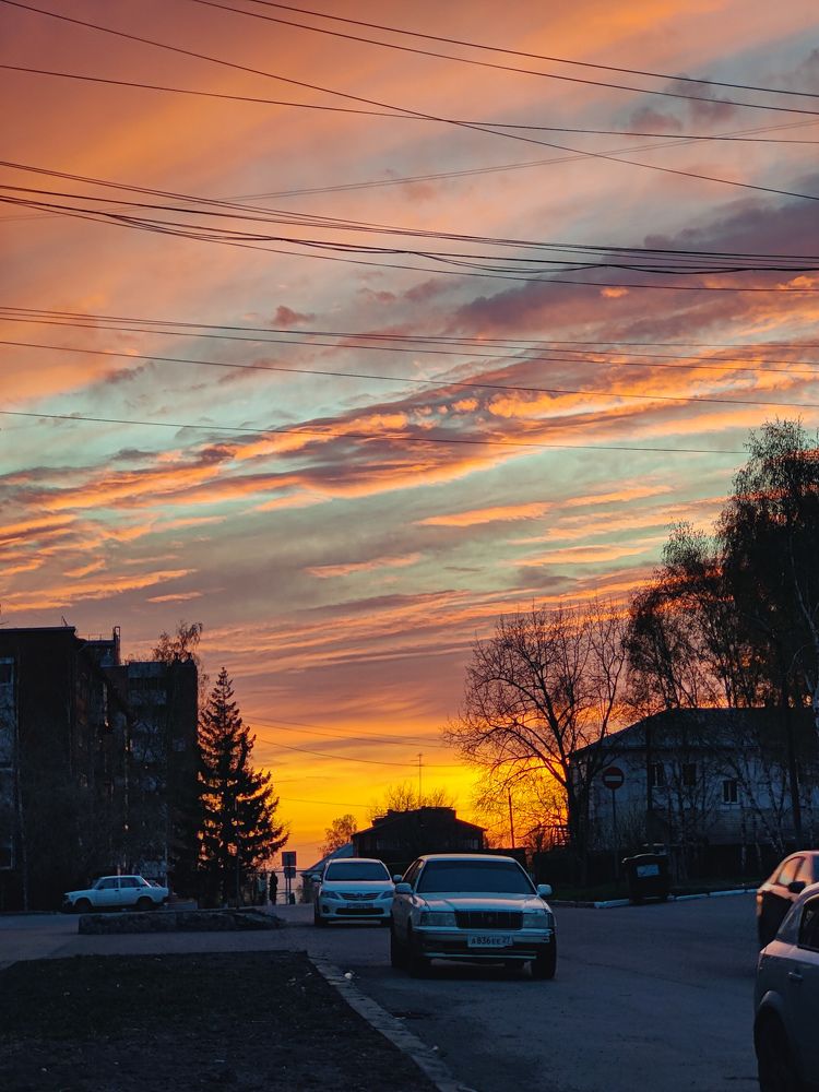 Photo #10355639