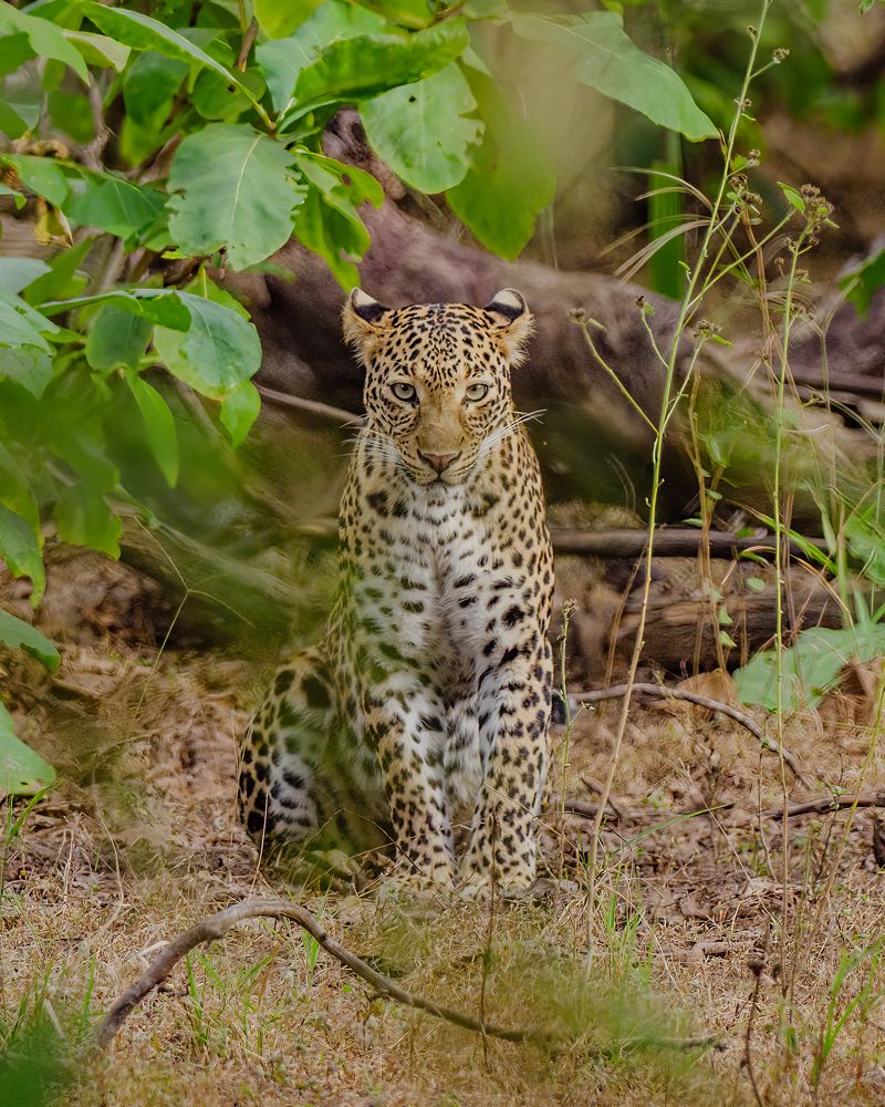 Photograph by Venkat Mangudi