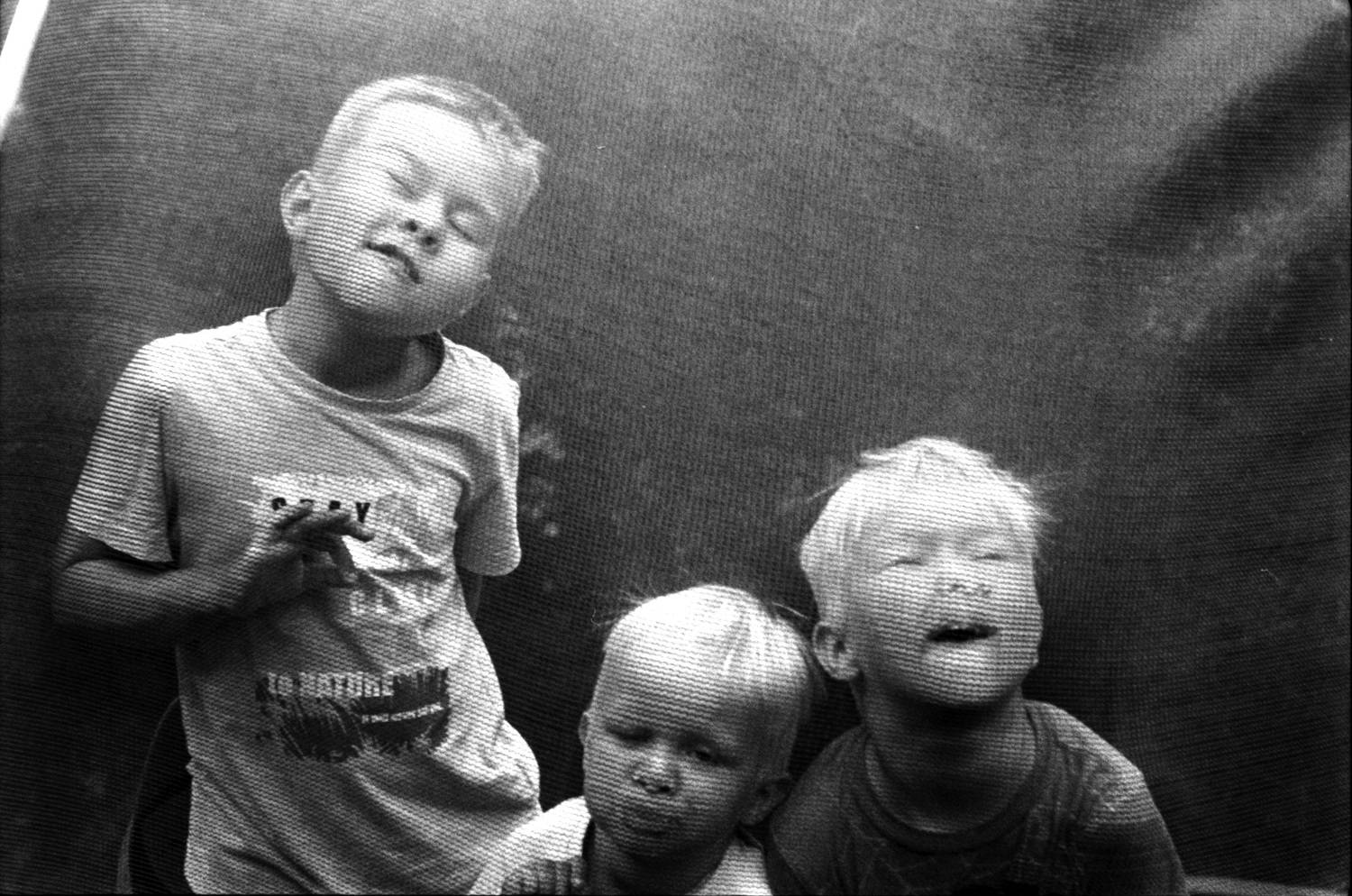 Photo #10355748