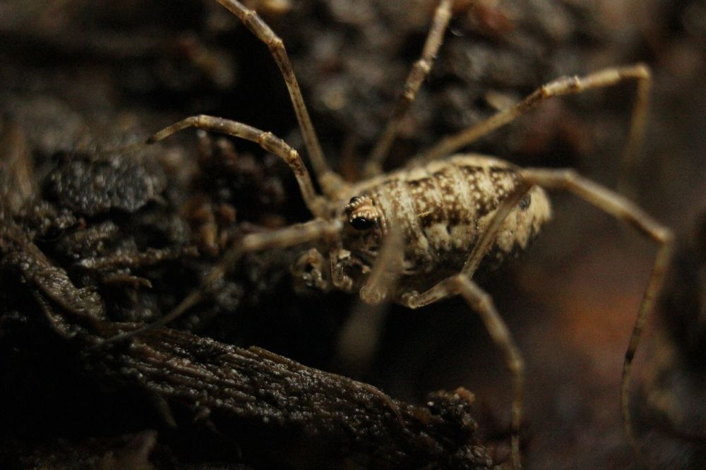 Photograph by Софья Белова