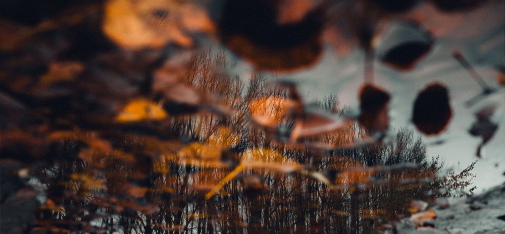 Фотография автора Олег Сухенко