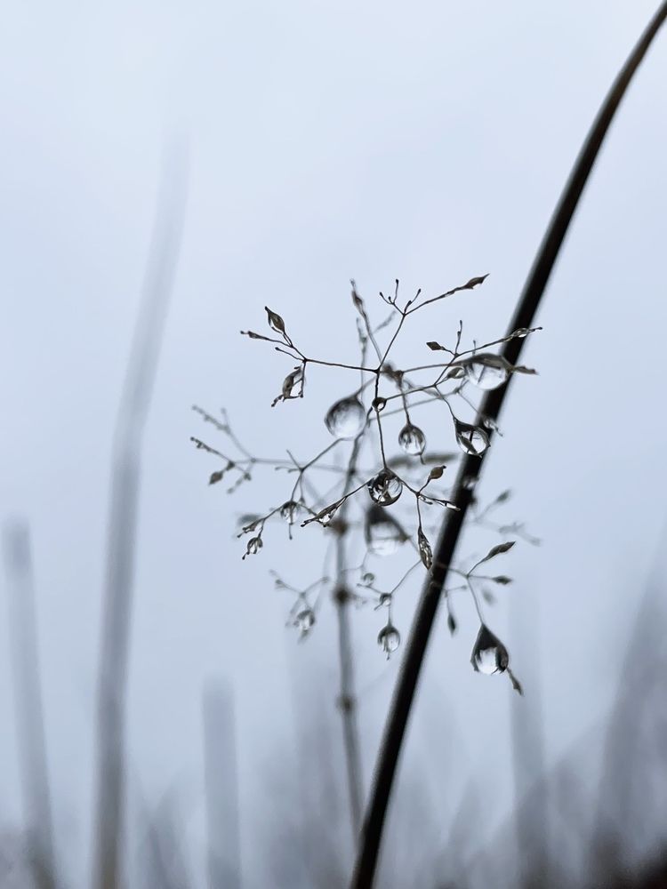 Photograph by Evgenia Barinova