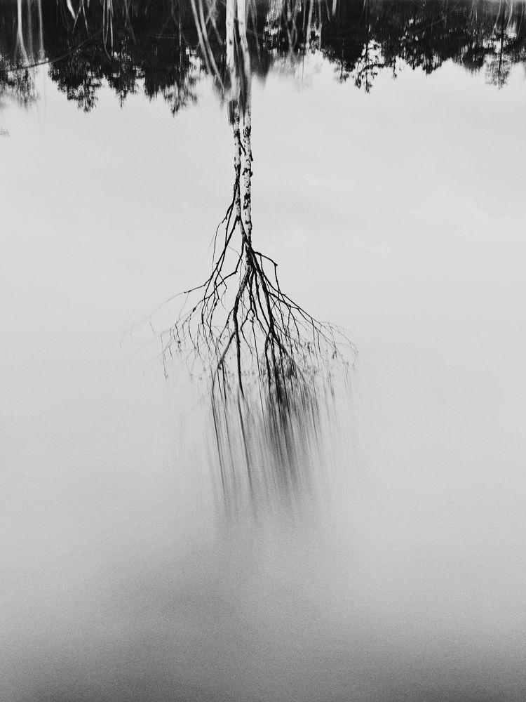 Photograph by Evgenia Barinova