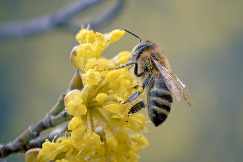 Photograph by Stamen Sotirov