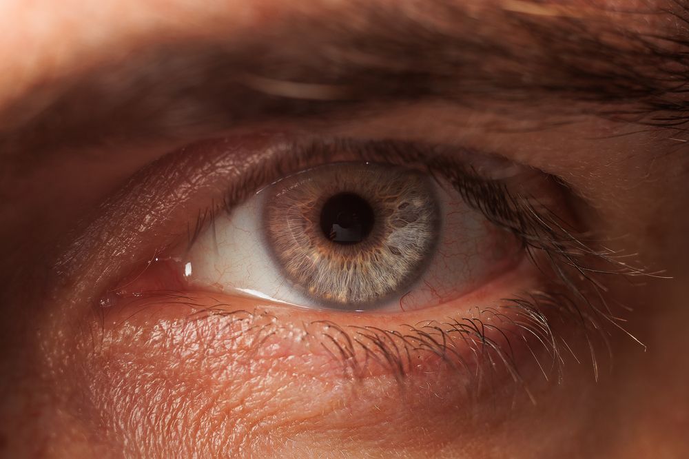 Photograph by Антон Чепуркин