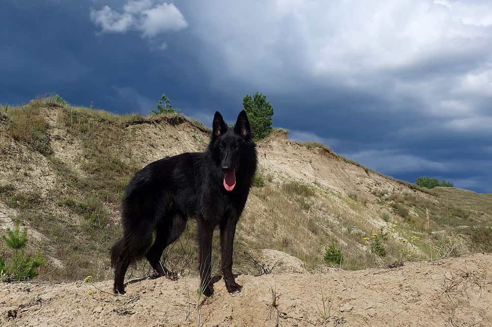 Фотография автора Надежда Лисицына