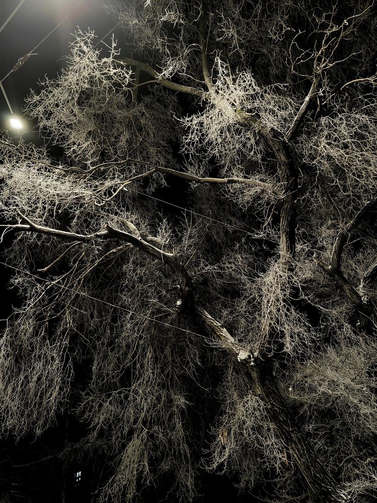 Photograph by Михаил Денисенко