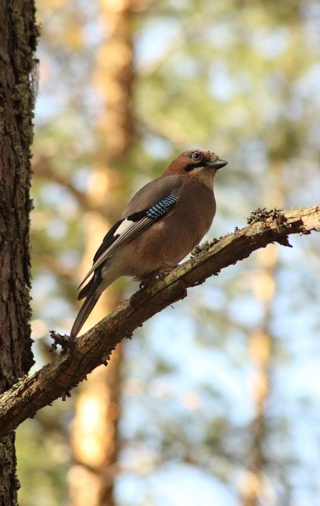 Photograph by Софья Белова