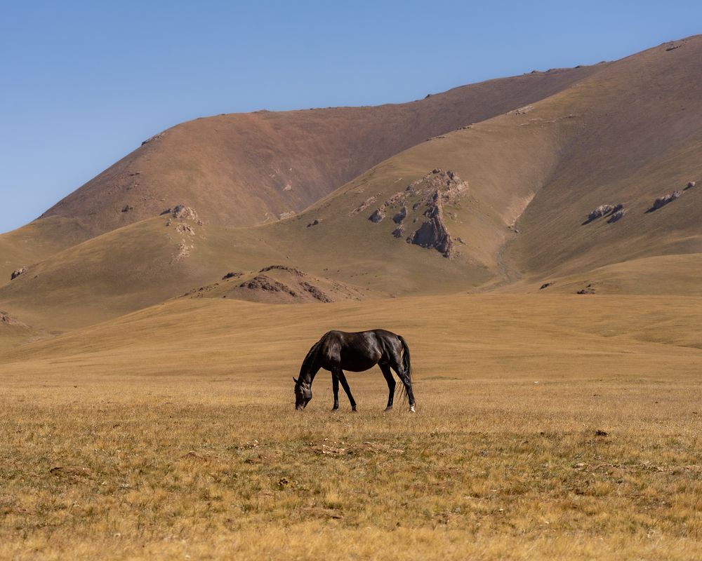 Photograph by Екатерина Дубровская