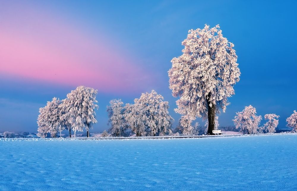 Photograph by Elena Wymann