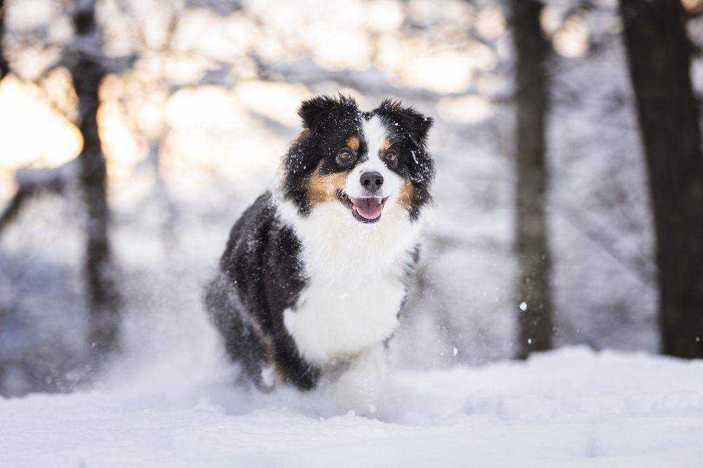 Photograph by Ирина Голомб