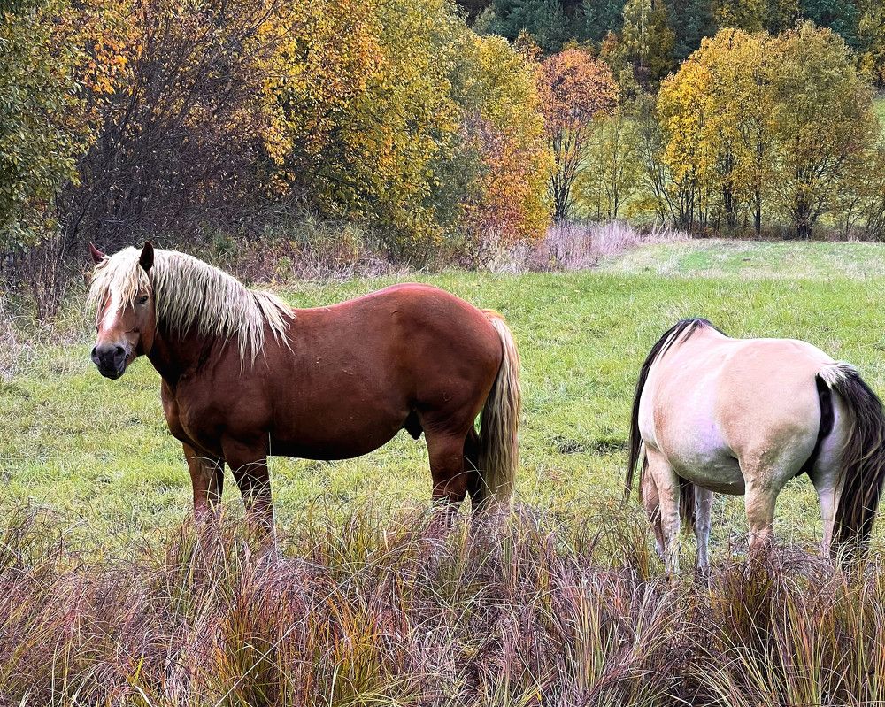 Photograph by Ольга Волкова