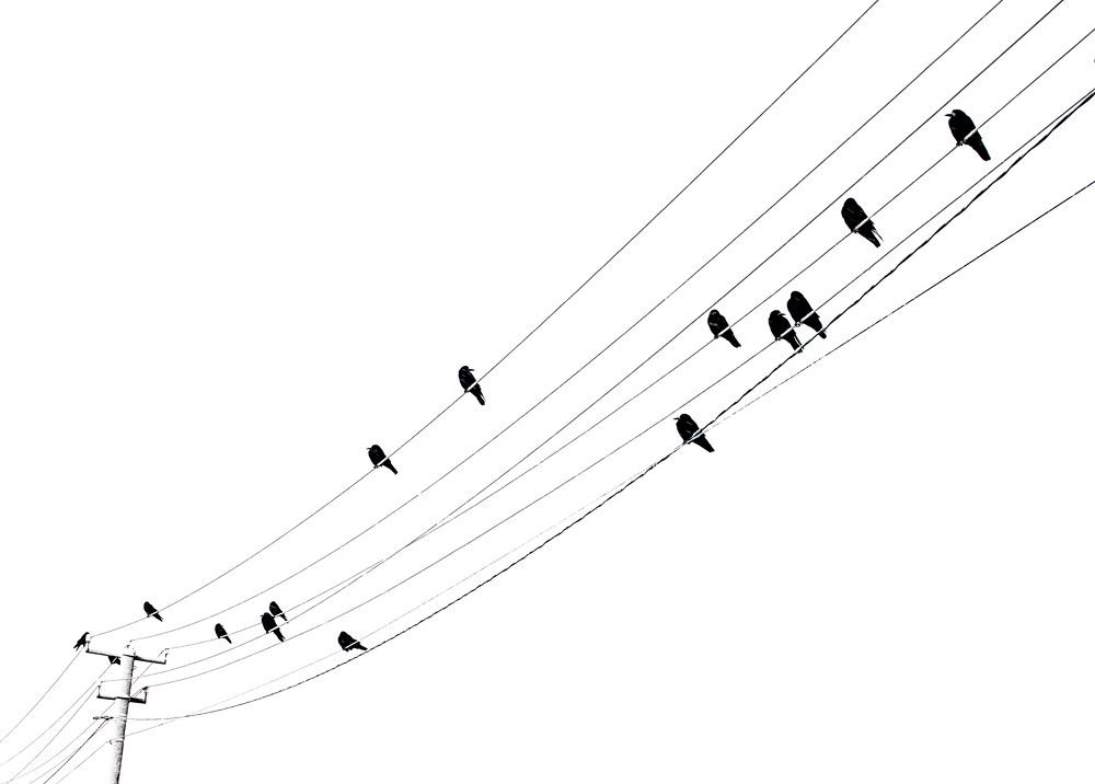 Photograph by Ольга Бакурская