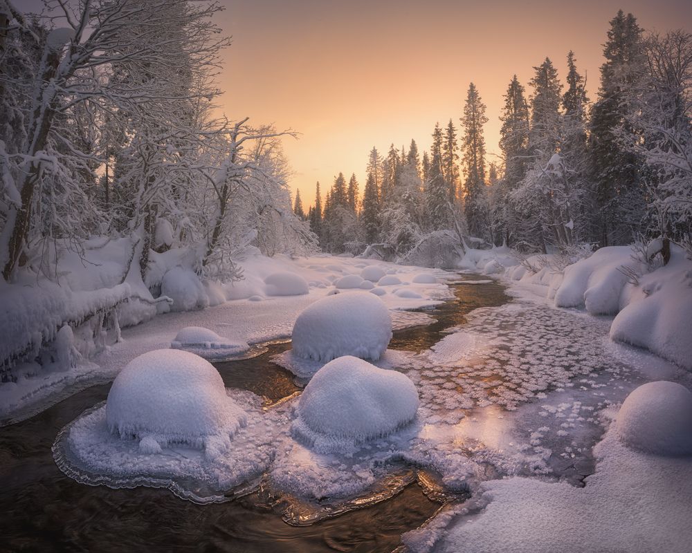 Фотография автора Dmitry Medyancev