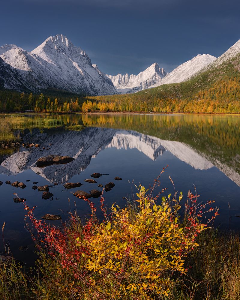 Фотография автора Dmitry Medyancev