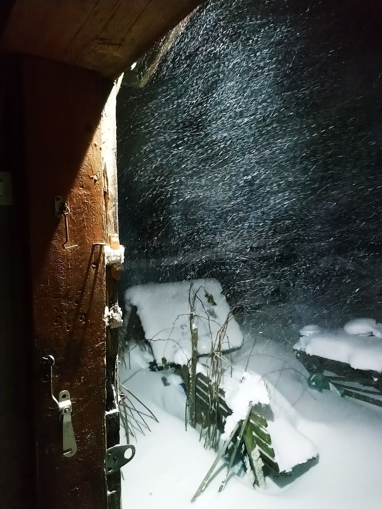 Photograph by Ольга Аристова