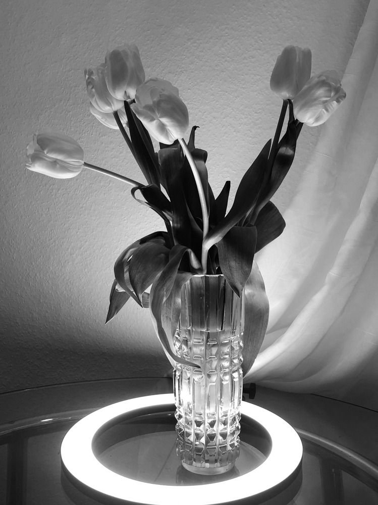 Photograph by Галина Пименова