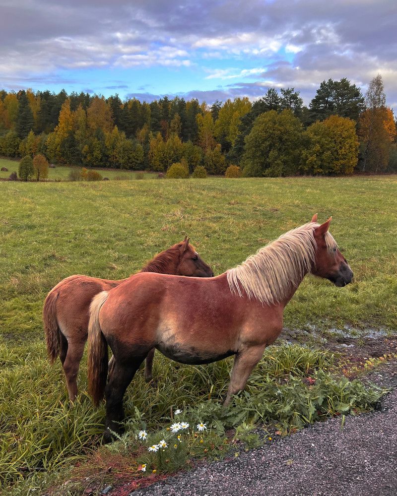Photograph by Ольга Волкова