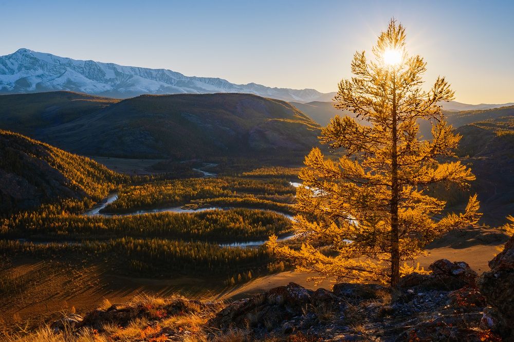 Photograph by Межин Сергей