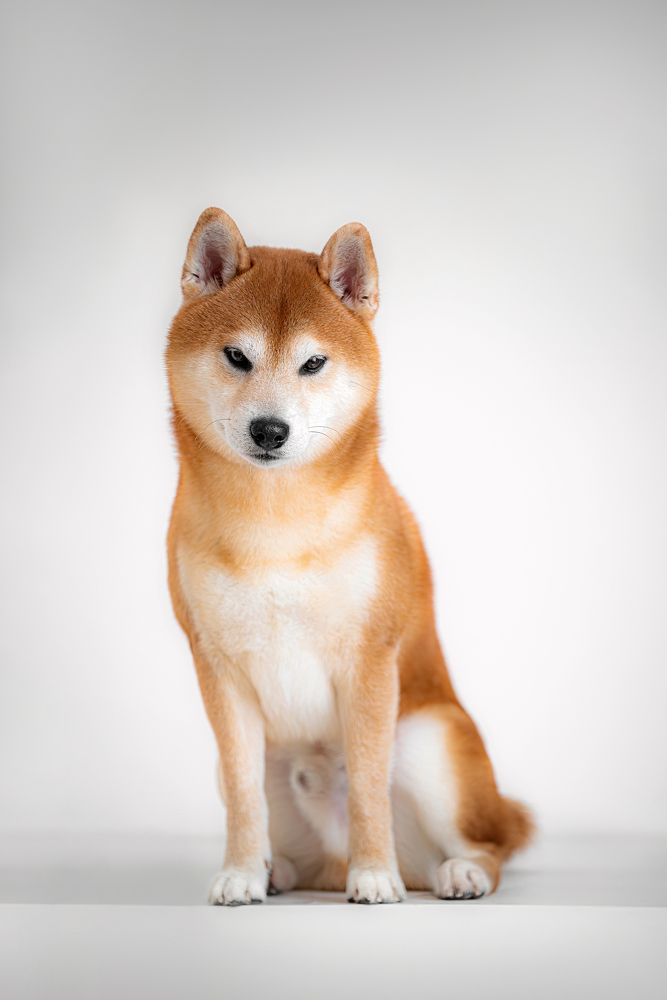 Photograph by Виктория Фоминых