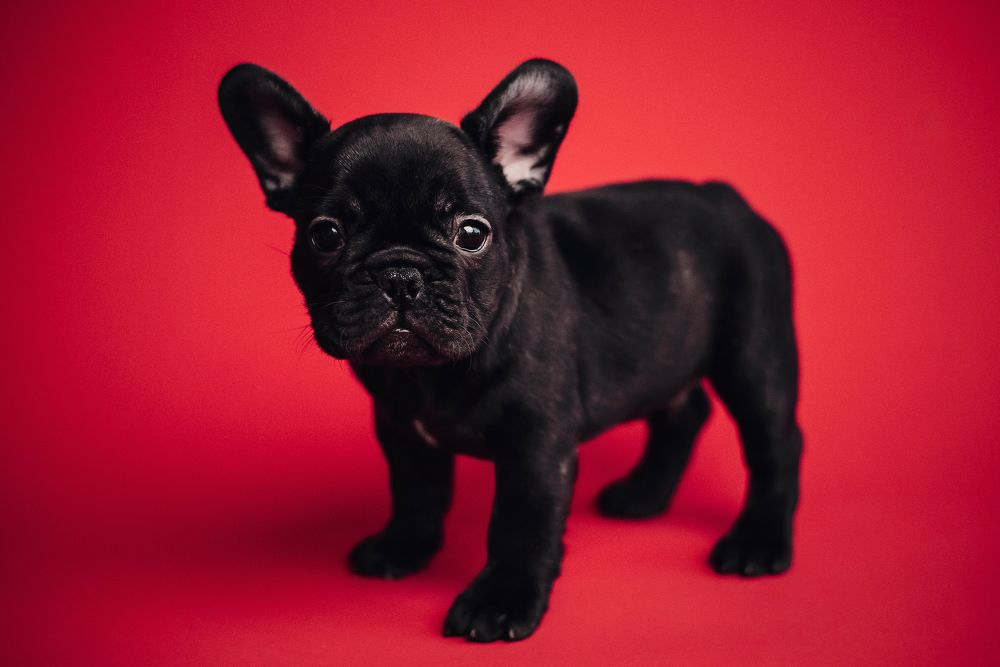 Фотография автора Anastasia Struna