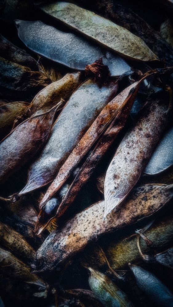 Photograph by Светлана Перминова