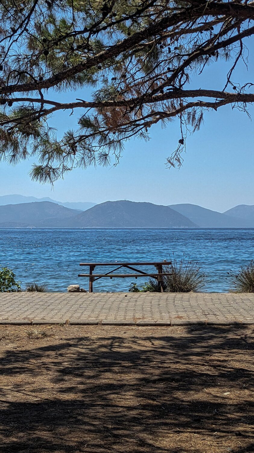 Photo #10356492