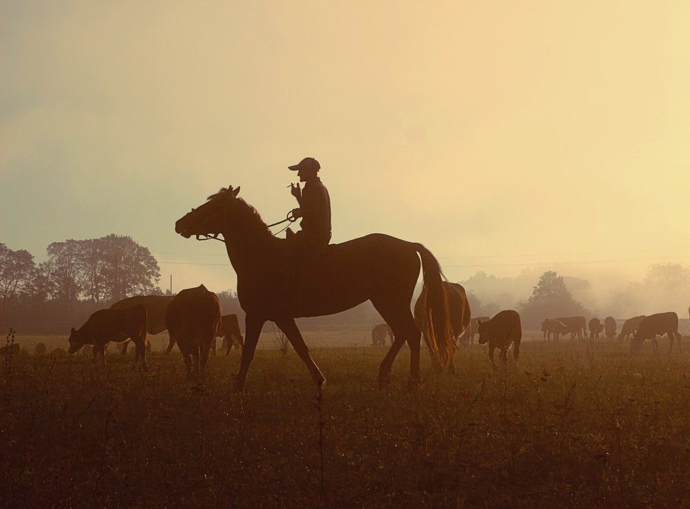 Photograph by Евсеева Валентина
