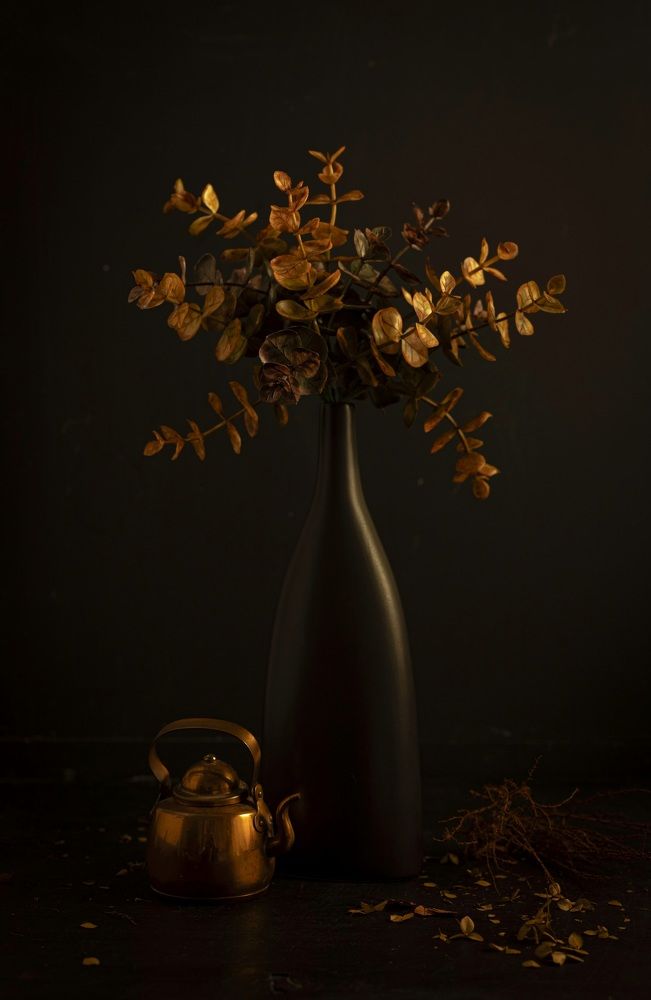 Сухоцветы на темном