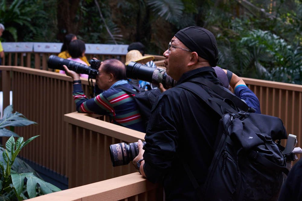 Photograph by Дмитрий Солодухин