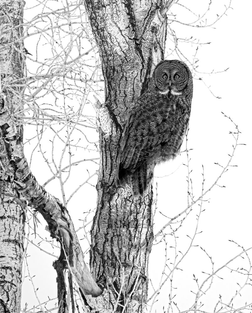 Фотография автора Brian Kinghorn