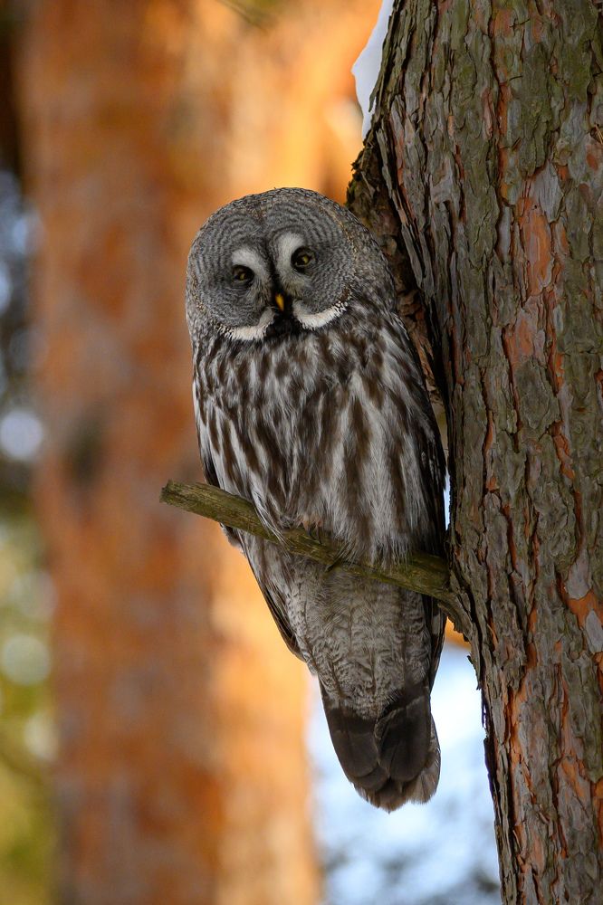 Фотография автора Мария Уланова