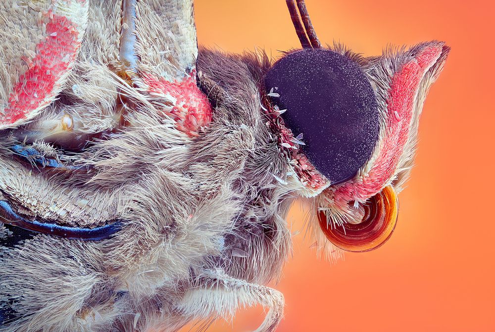 Photograph by Pedro Luis Ajuriaguerra Saiz