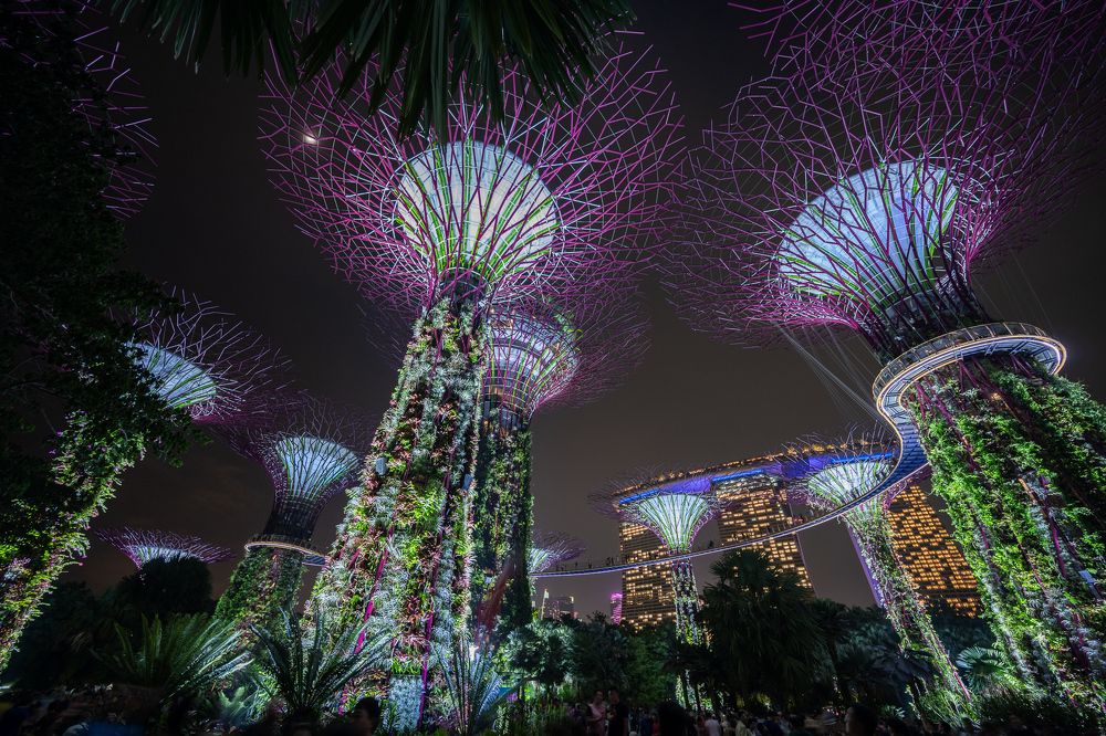 Photograph by Maximilian Kafanke