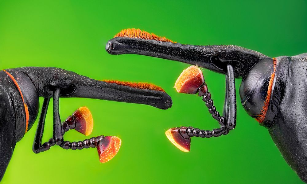 Photograph by Pedro Luis Ajuriaguerra Saiz