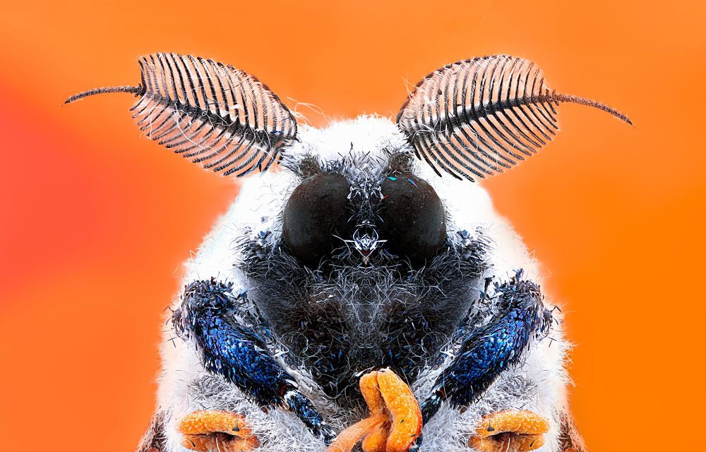 Photograph by Pedro Luis Ajuriaguerra Saiz