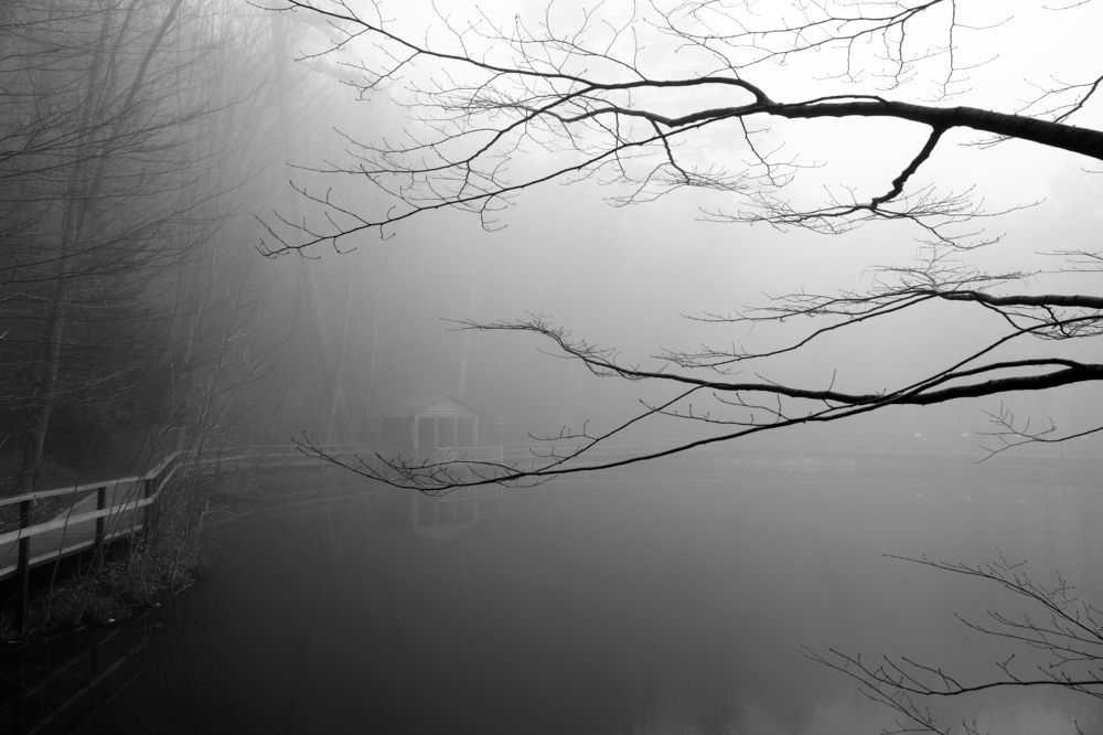 Photograph by Владислав Титов