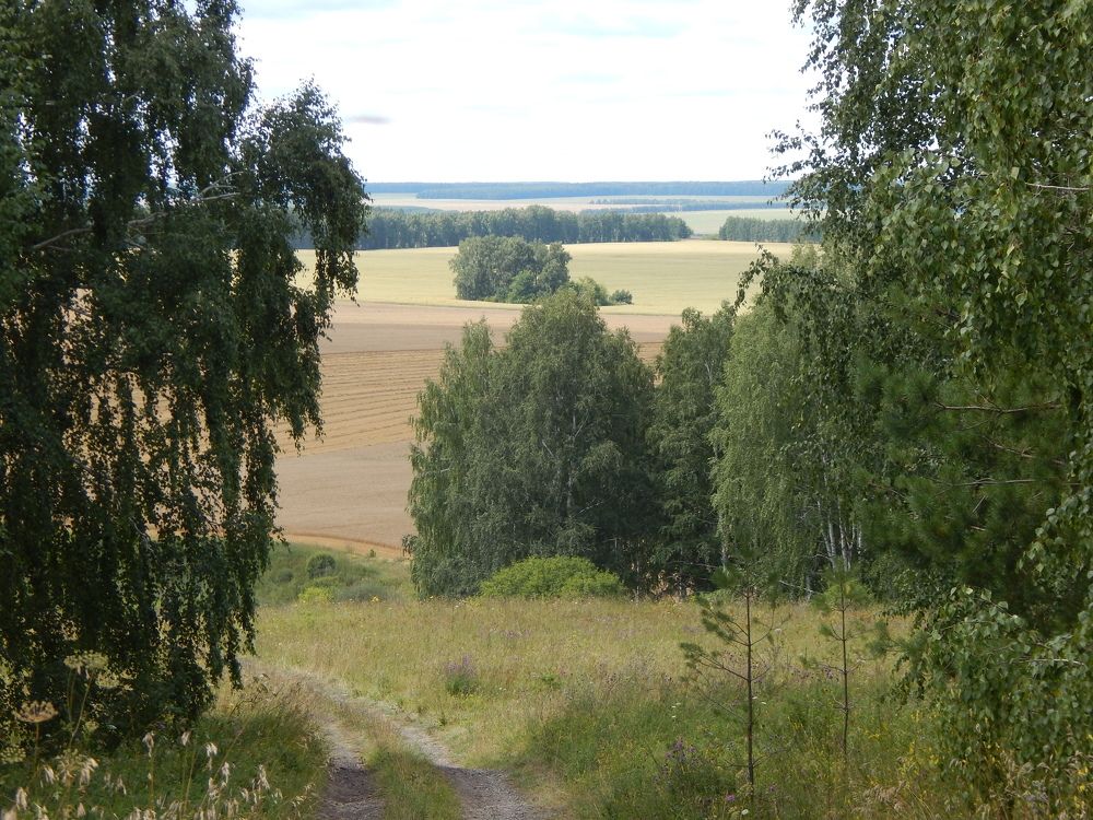 Летний день