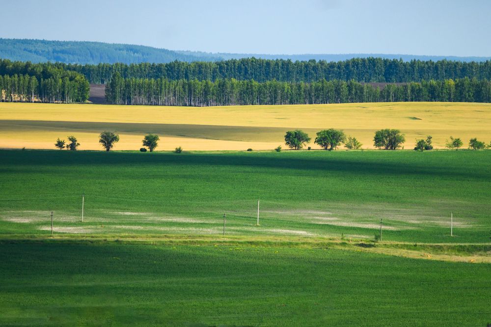 Фотография автора Мария Уланова