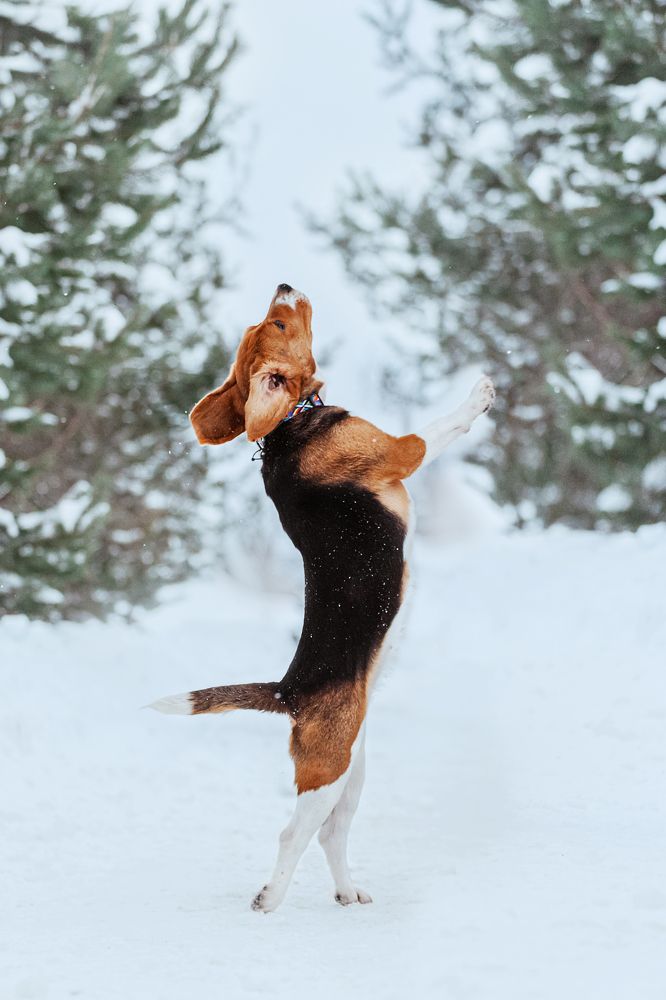 Photograph by Татьяна Степанова