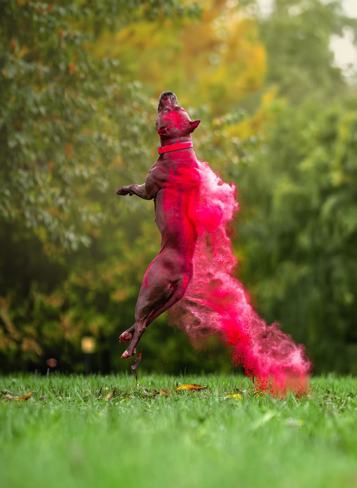 Photograph by Софья Кириенко