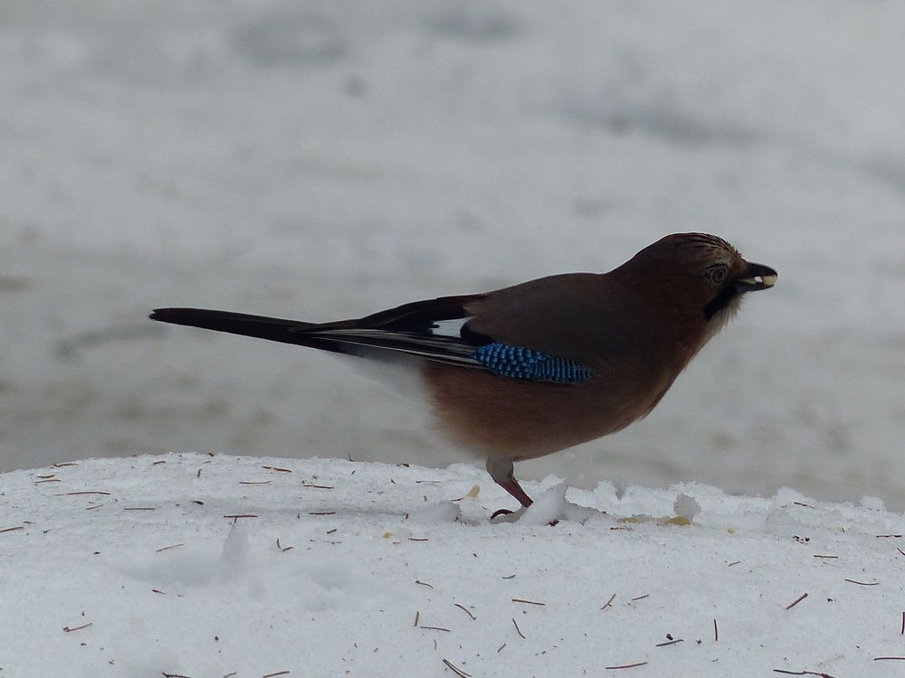 Photograph by Георгий Салюков