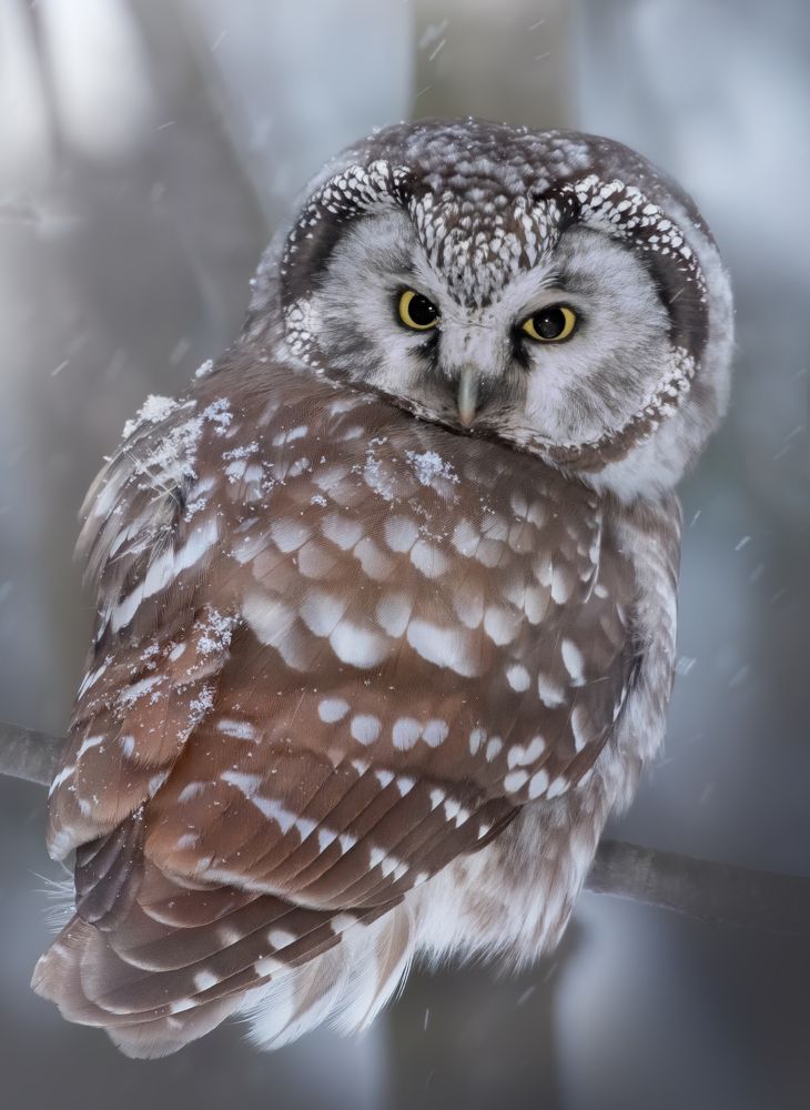 Photograph by Дарья