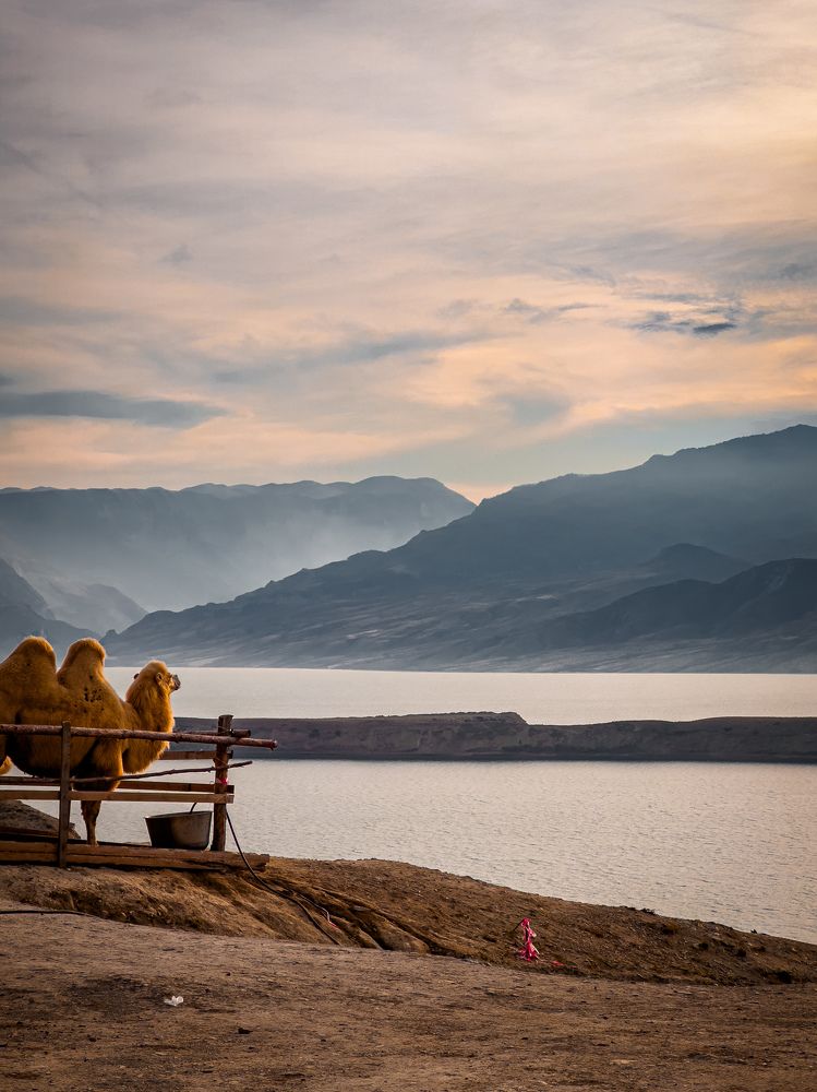 Photograph by Evgenia Privalova