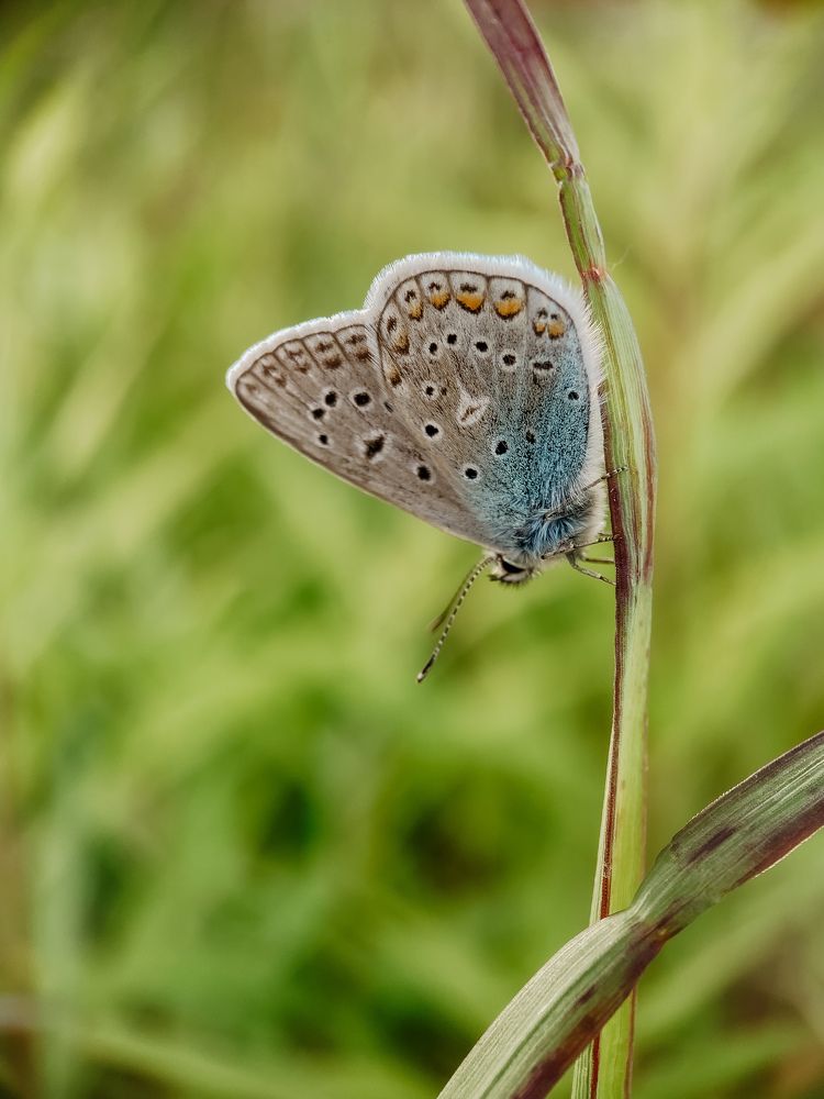 Photograph by Анна Бобкова