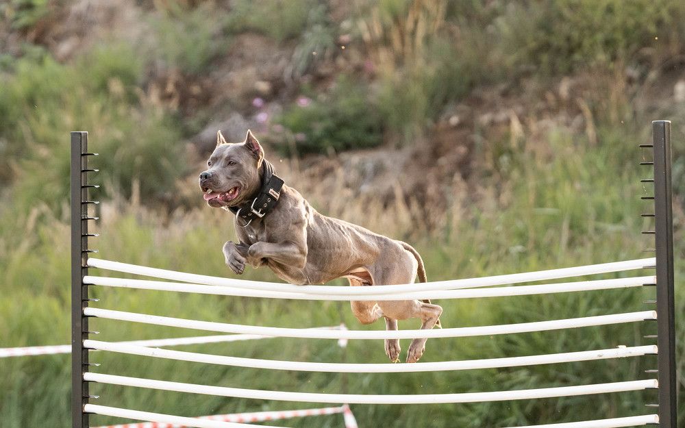 Photograph by Софья Евгеньевна