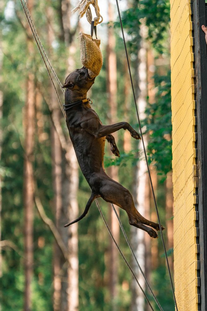 Photograph by Софья Евгеньевна