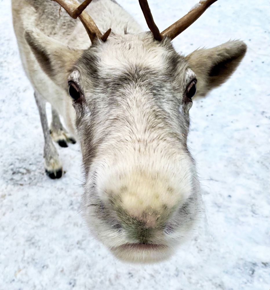 Фотография автора Наталья Василькова