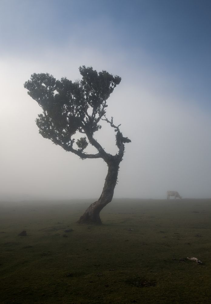 Photograph by Марина Лазарева