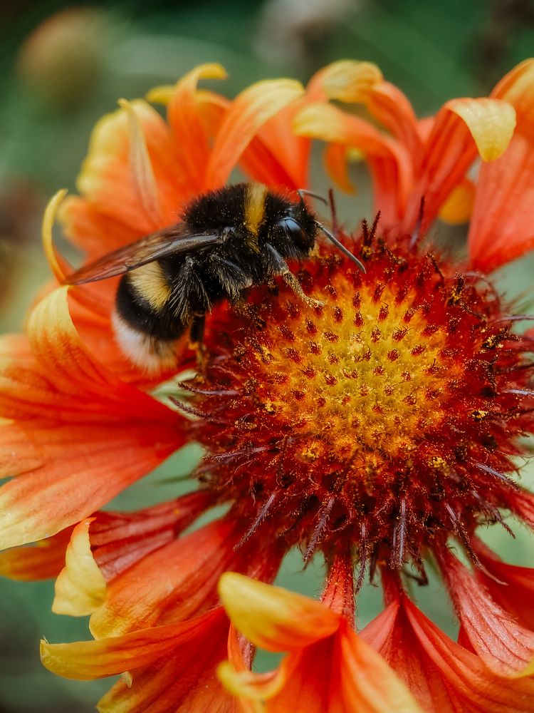 Photograph by Анна Бобкова